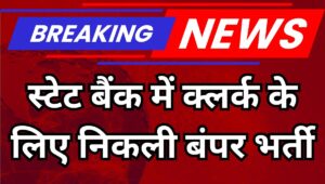 SBI Clerk Bharti 2025: जूनियर एसोसिएट के 6589 पदों पर आवेदन शुरू, ऐसे करें अप्लाई