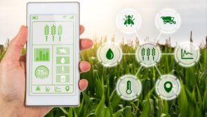 अब खेती हुआ Digital, फसल बीमा, मौसम और मार्केट की जानकारी देंगे ये 5 Farming App