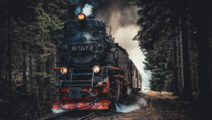 किस देश में सबसे ज़्यादा सीमा पार तक चलती हैं ट्रेनें? जानें रेल नेटवर्क में भारत की क्या है स्थिति