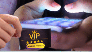 भारत में कैसे खरीदें VIP मोबाइल नंबर? Airtel, Jio, Vi और BSNL से ऐसे करें रजिस्ट्रेशन, जानिए पूरी प्रक्रिया
